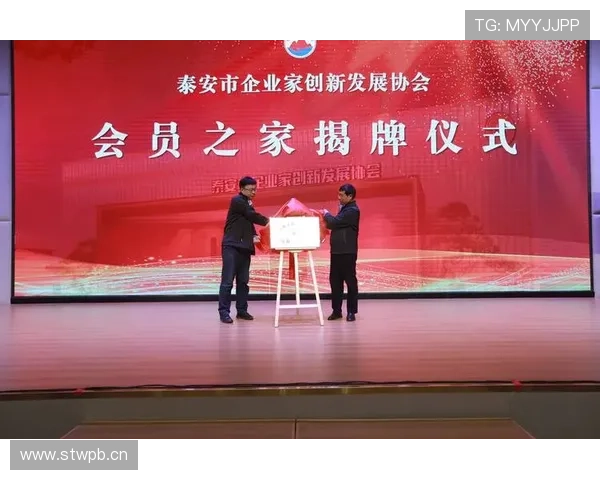 企业家精神与创新思维的碰撞展示，启迪未来商业发展的智慧之光